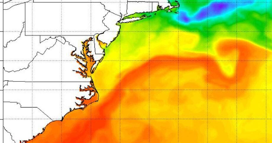 Water temperatures off the NC coast are up, but does it count as a marine heat wave? - Vimarsana News