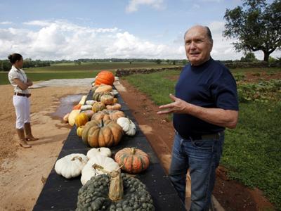 Layman Family Farms Gets Top Spot For Best Pumpkin Patch In