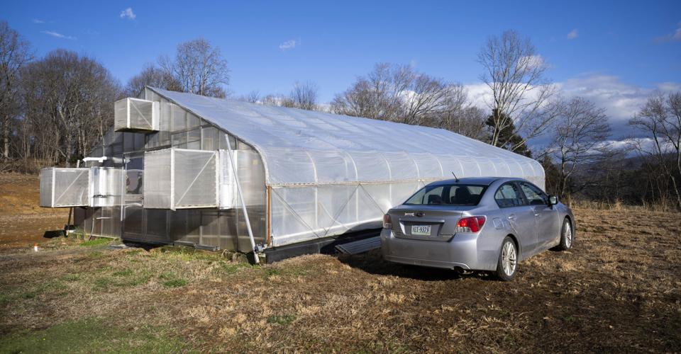 Green House. 4.JPG