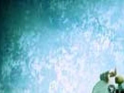 oft maligned skateboarding has culture all its own from the archives newsadvance com