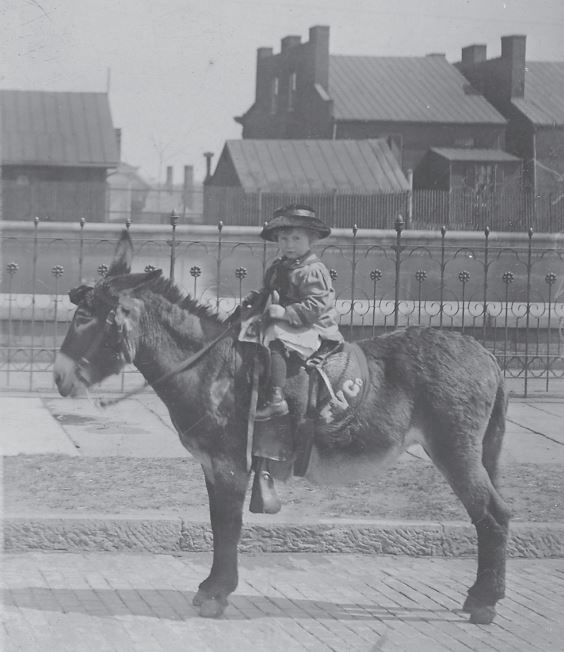 Mystery Picture