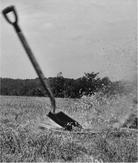 Mystery Picture