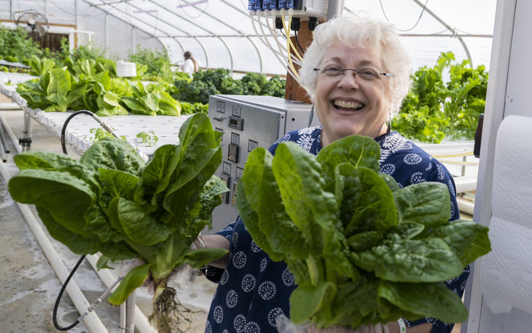 Green House. 5.JPG