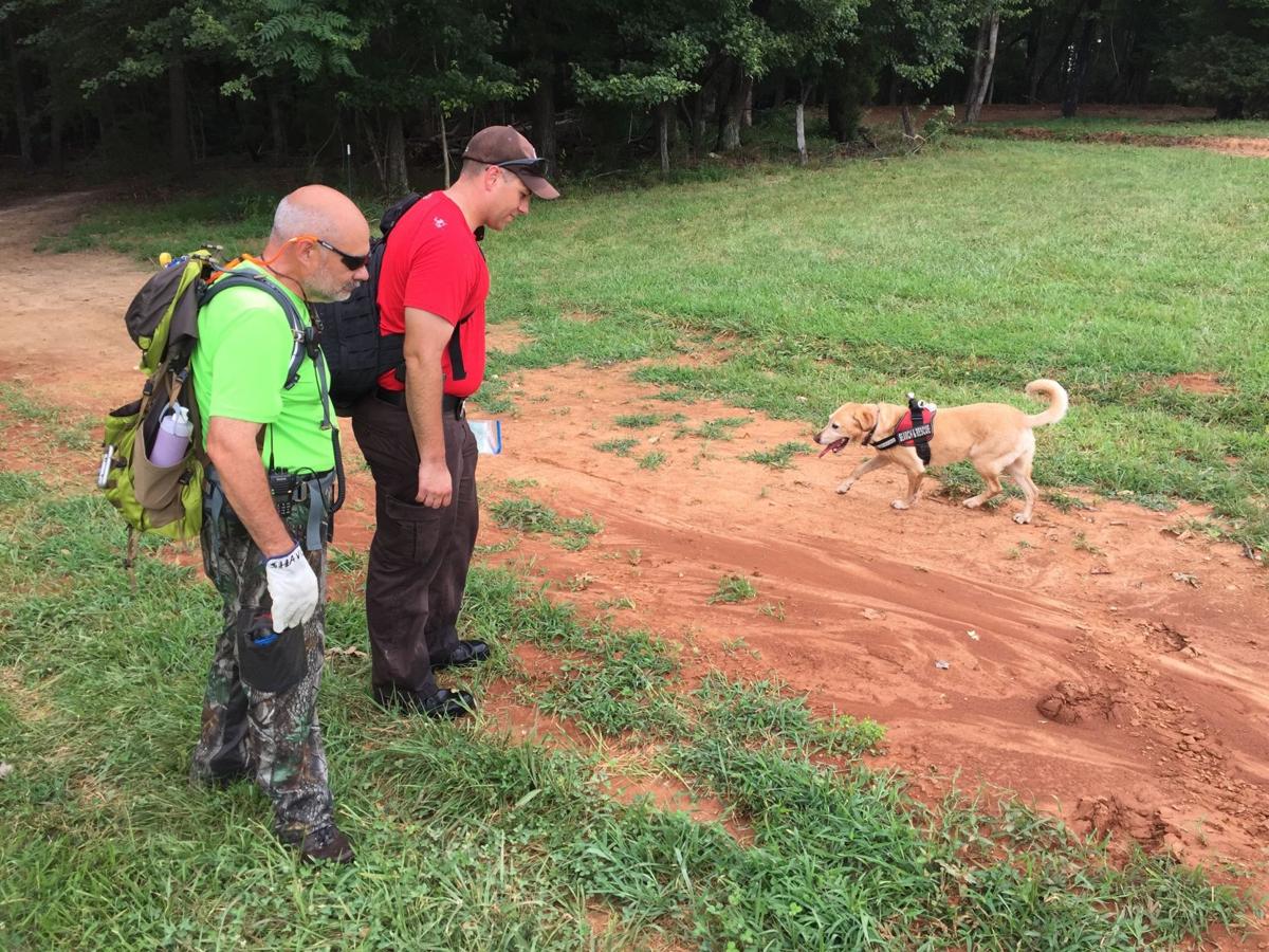 Bedford County Dog Rescue Bedford County Dog Rescue