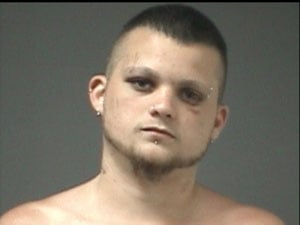 Madison Heights man pleads guilty in baby-abuse case