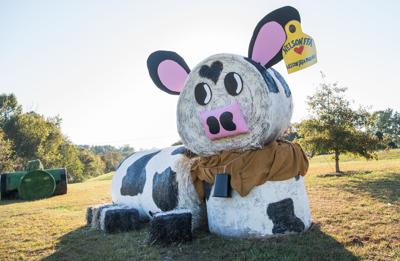 Hay Bale Decoration Winner Announced Lifestyles Newsadvance Com