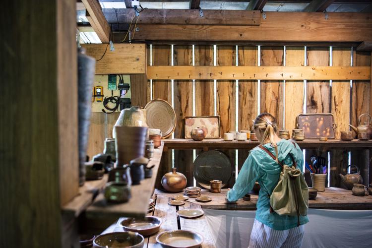 Nelson Artist Spring Tour