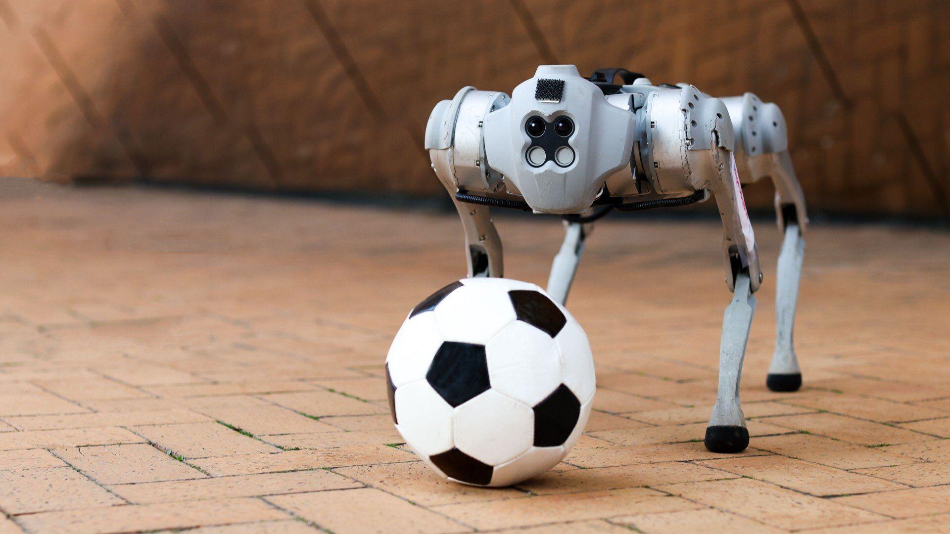 You'll Want to Fetch This AI-Powered Robot Dog 