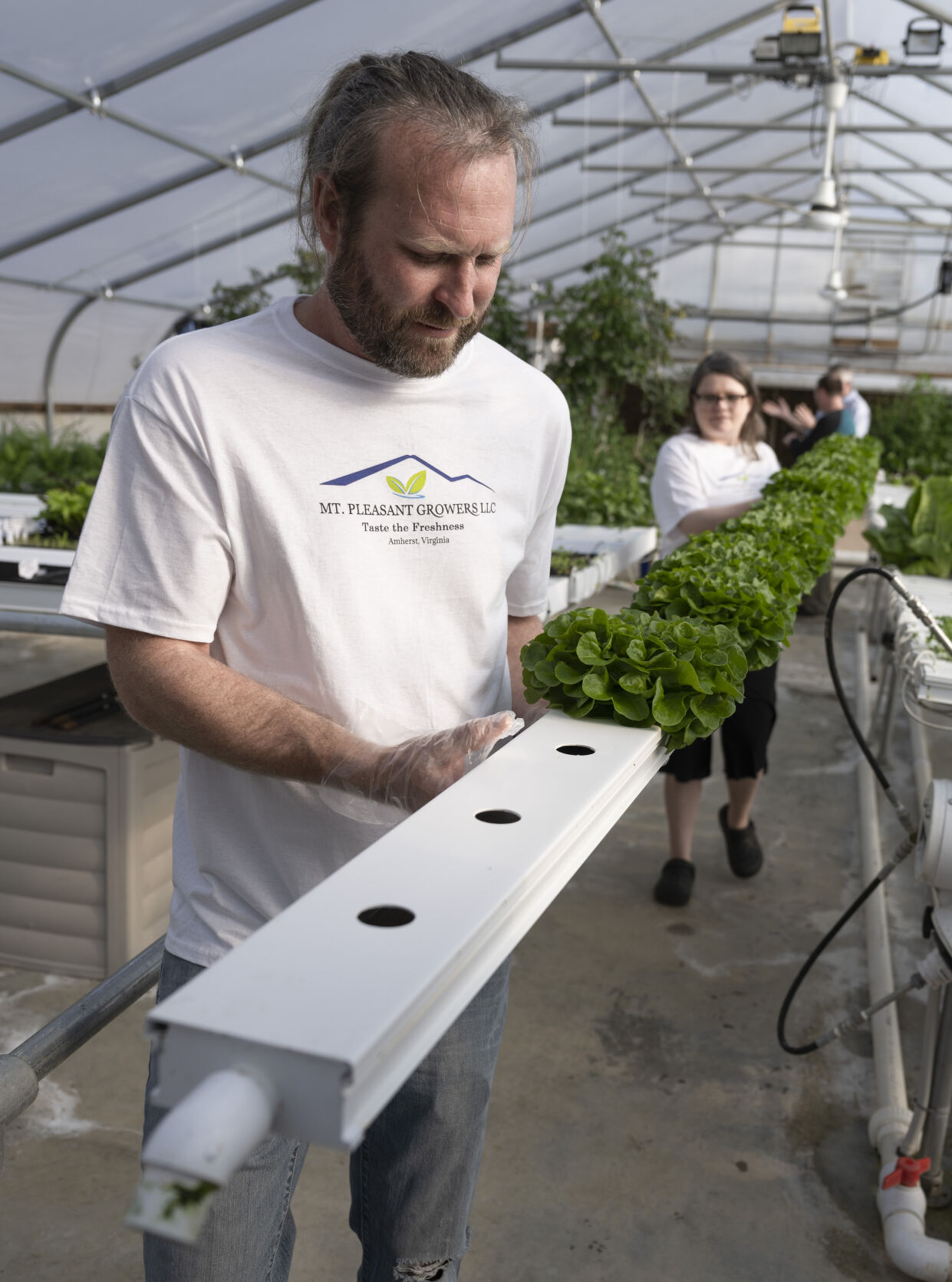 Green House. 8.JPG