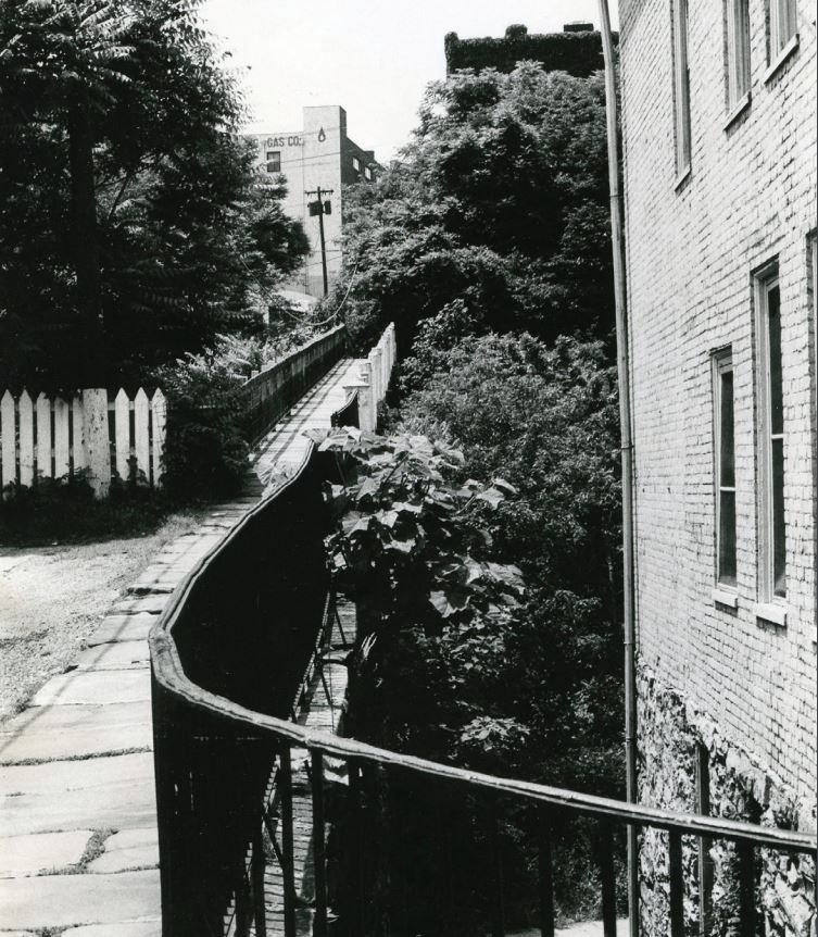 Mystery Picture