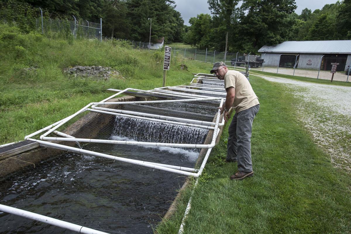 Montebello Fish Cultural Station raises fish used to stock Va