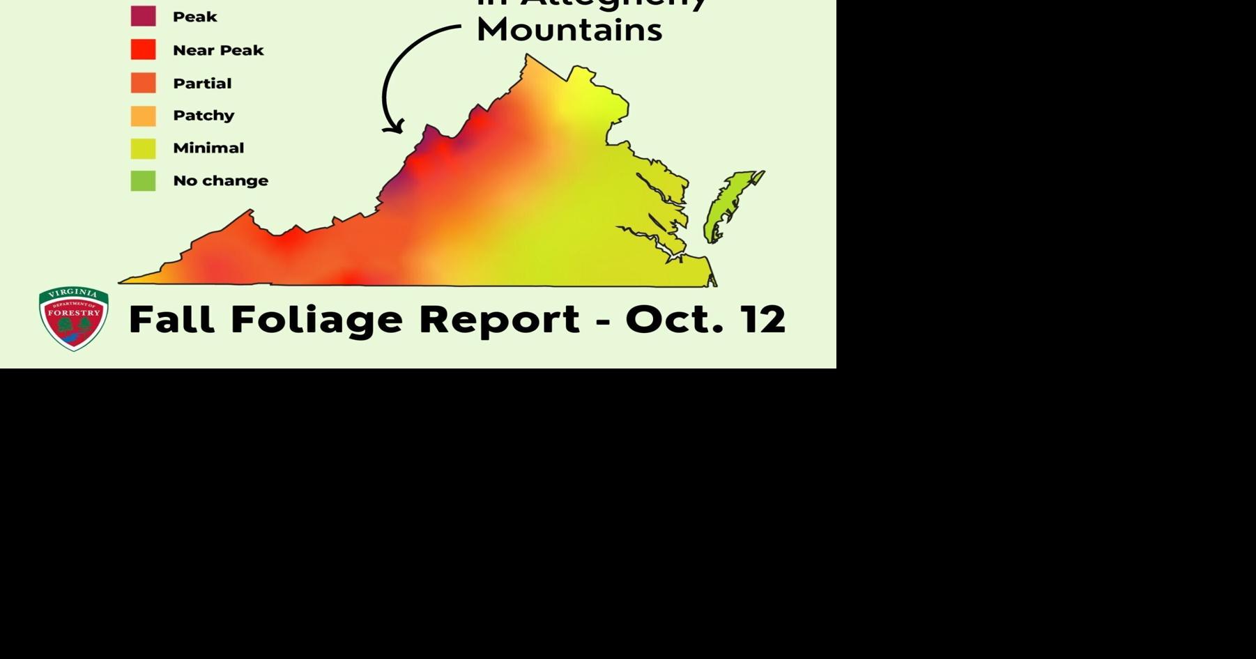 When will fall colors arrive? A look at what's in store for Virginia
