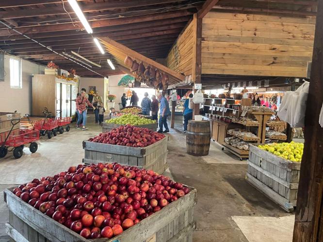 apple festival 2