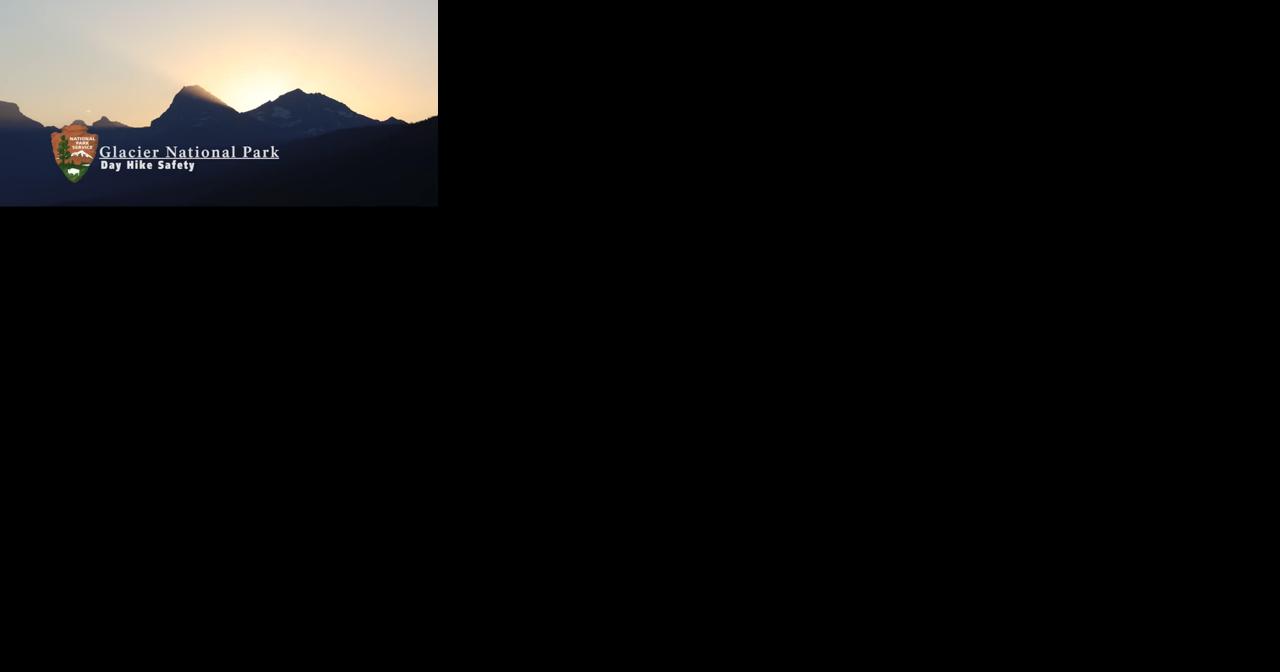 Bear sightings near Peaks of Otter have officials asking visitors to remain aware - Vimarsana News