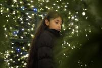 2018-11-23 Christmas tree