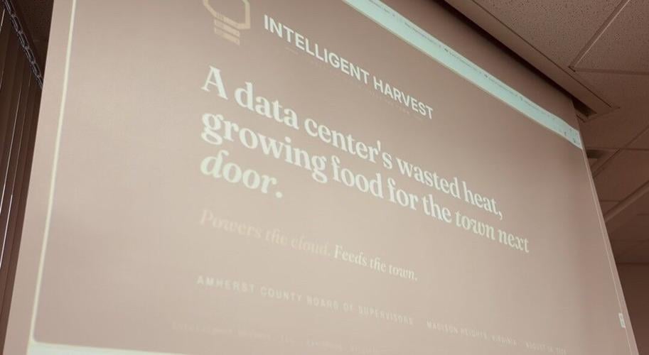 Intelligence 2.jpg