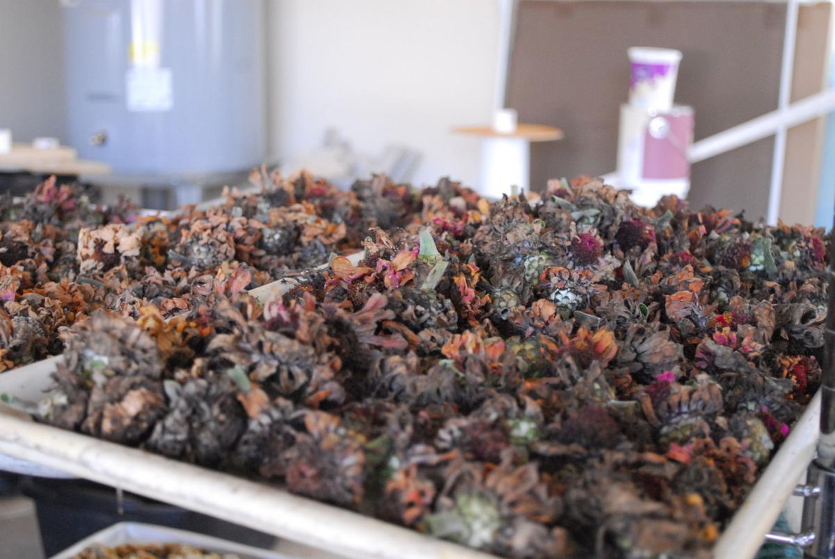 Little Otter Flower Farm