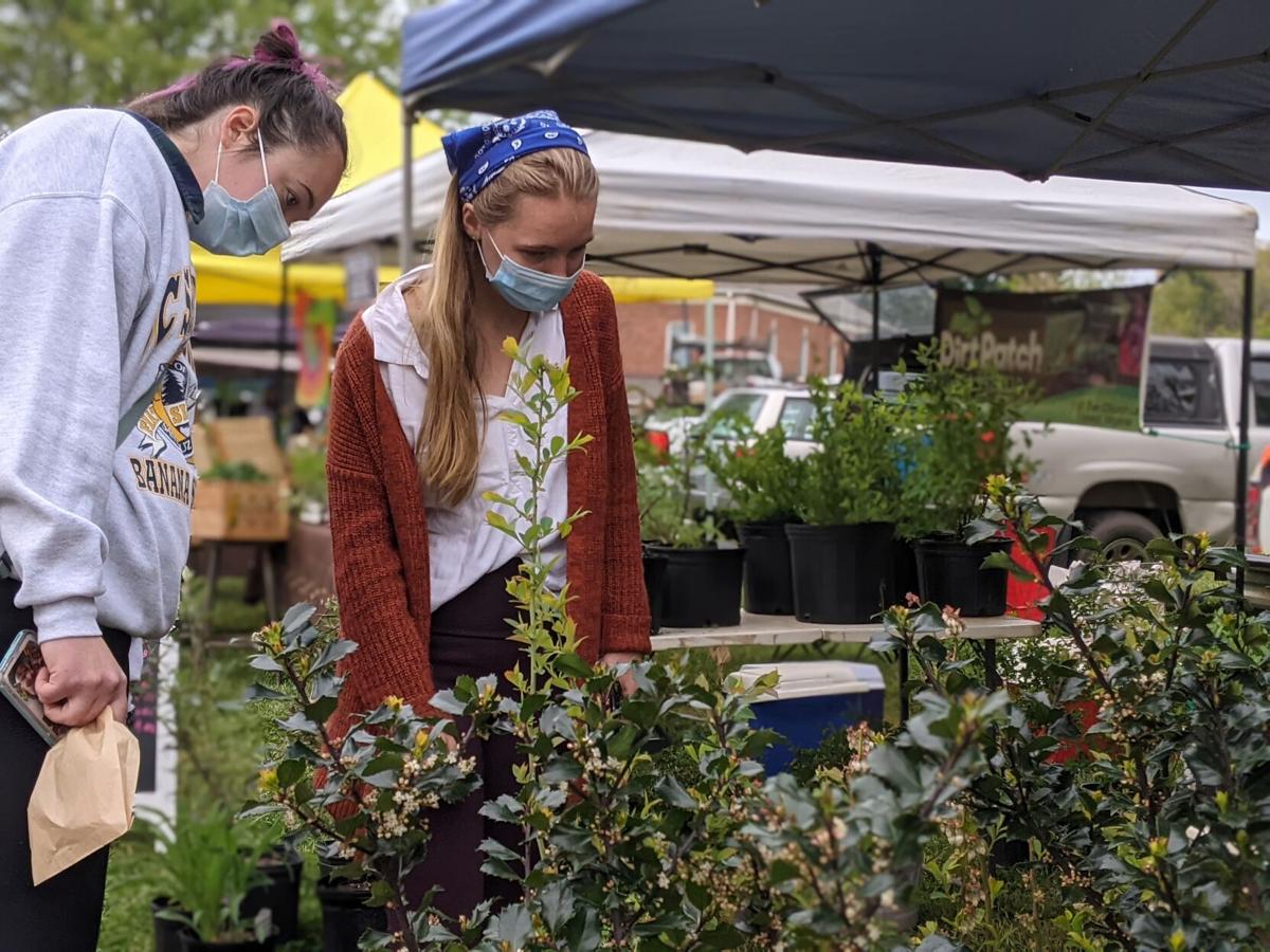 Farmers Market 01