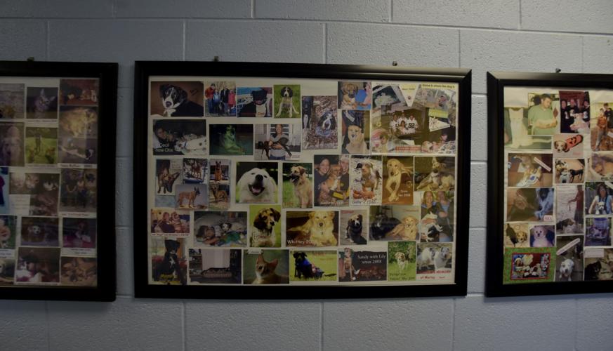 LNA 10292018_ Humane Society04