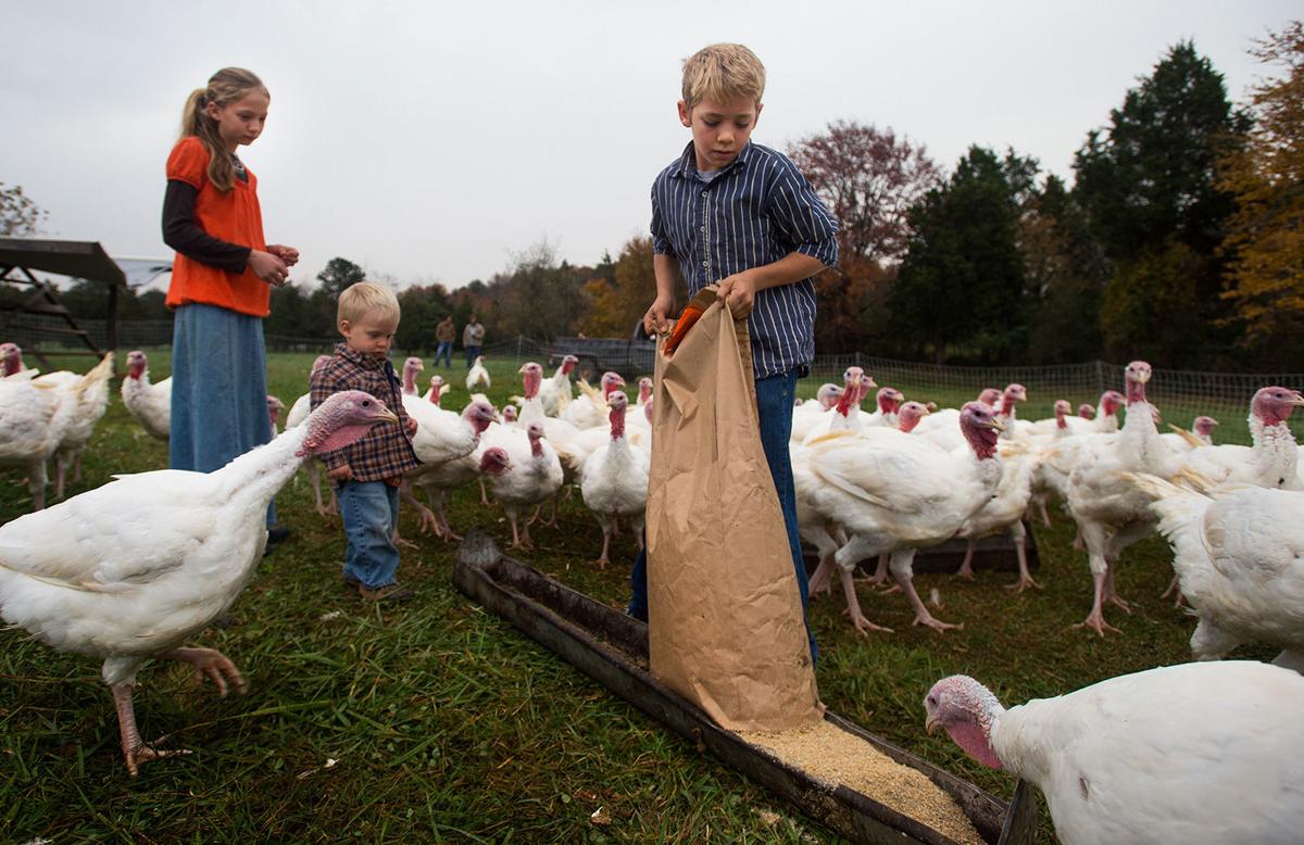 Let's talk turkey Area farms meet need for locally raised birds