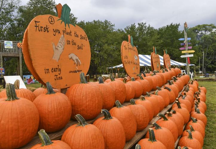 091926-cdp-news-cornmaze-08.JPG