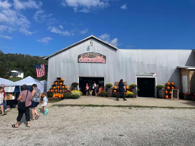 apple festival 3