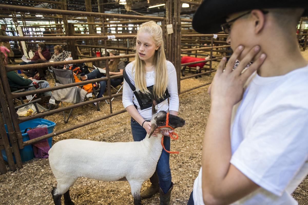 PHOTOS Central Virginia Livestock Show Local News