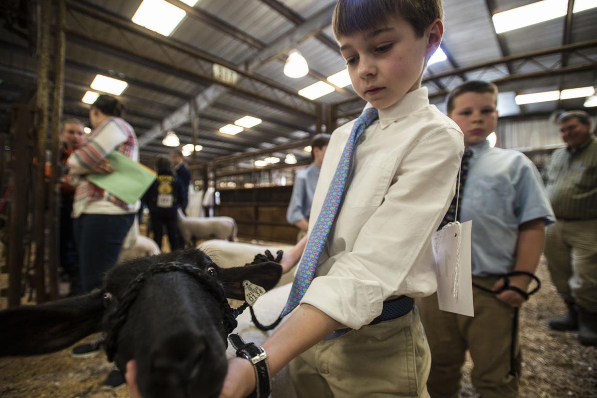 PHOTOS Central Virginia Livestock Show