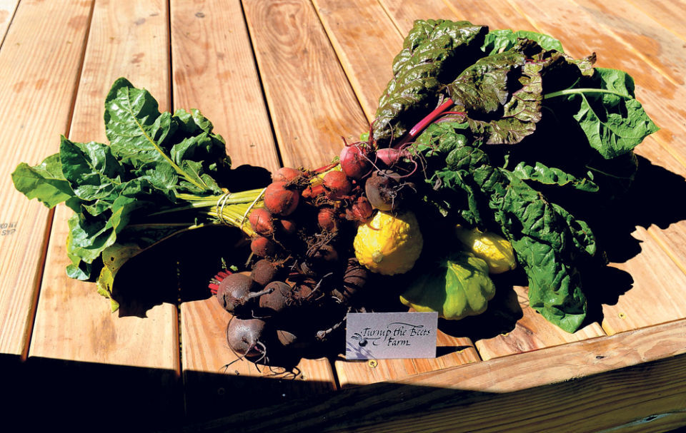 Turnip the Beets farm harvests sustainability Community