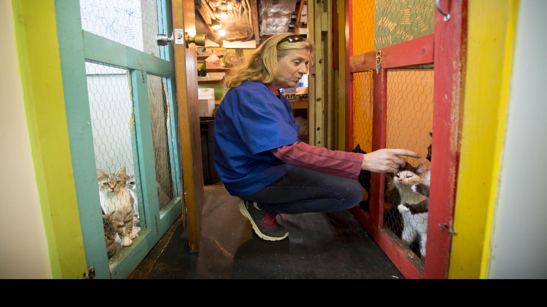 Three Years After Opening No Kill Animal Sanctuary In Appomattox
