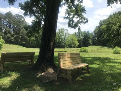 Official Amherst Town S Partnership With High School Opens Up