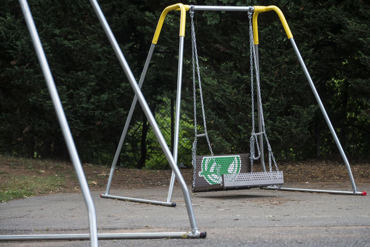swings disabled adults for Handicapped