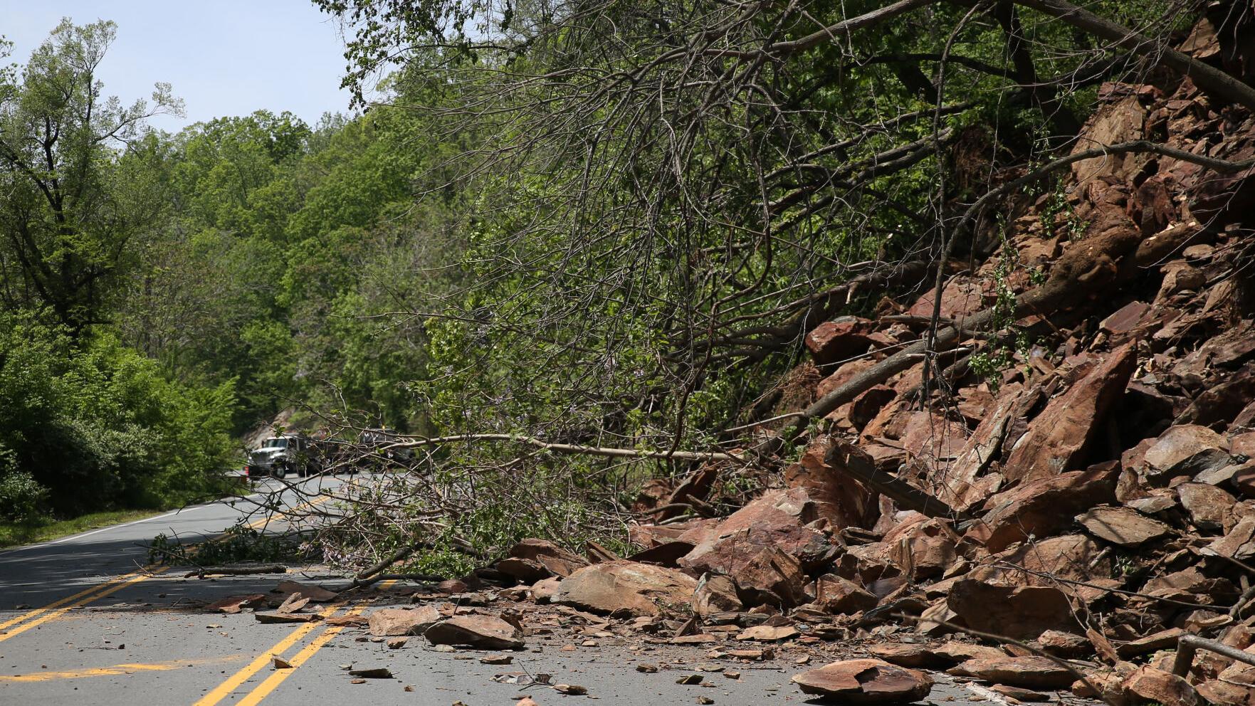 Rockfish rockslide falls in a hard place - Vimarsana News