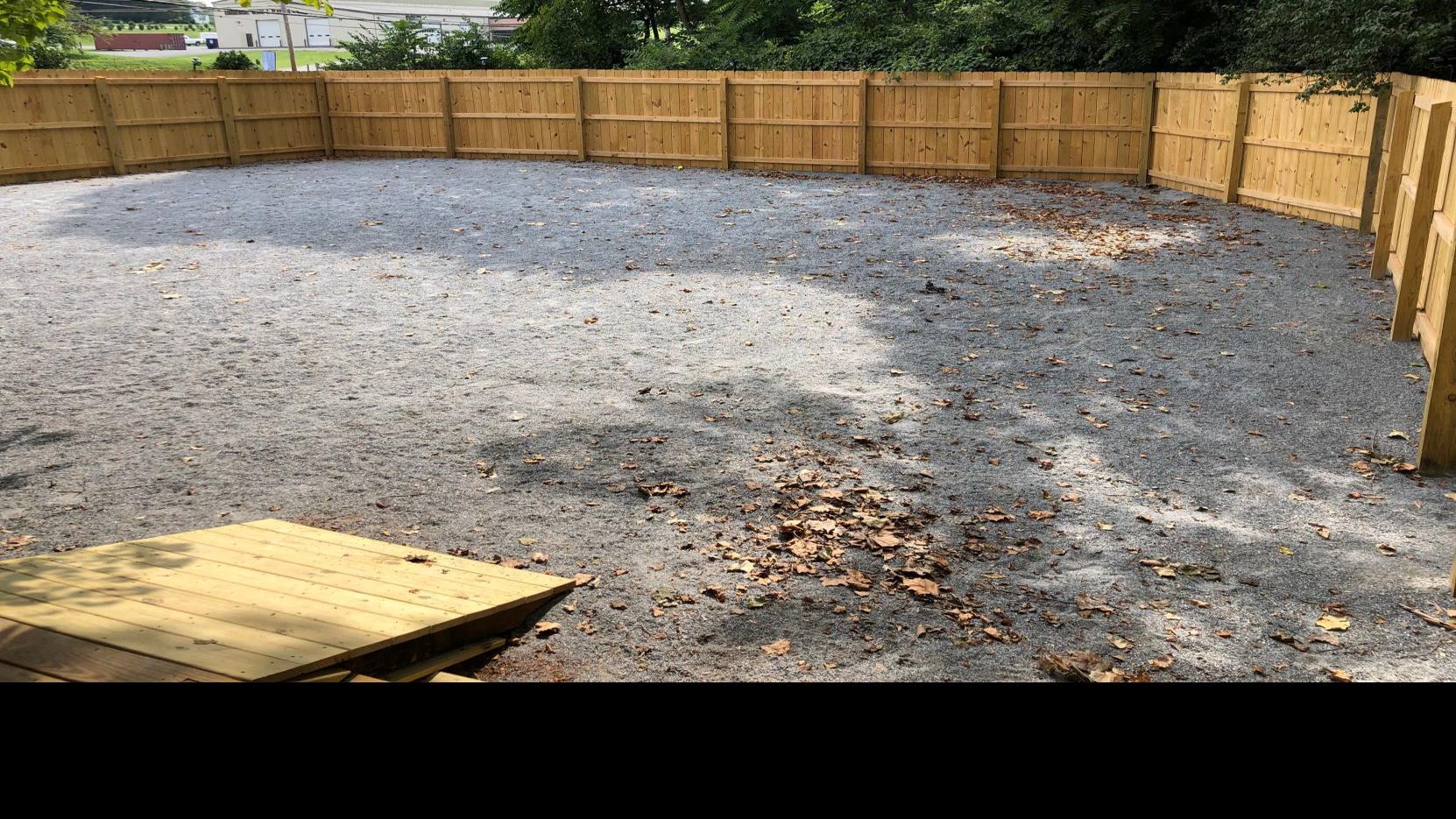New Doggie Daycare And Boarding Business Opens Off Lakeside Drive