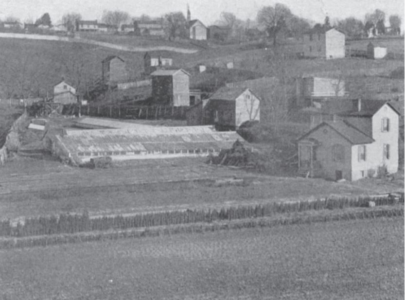 Mystery Picture