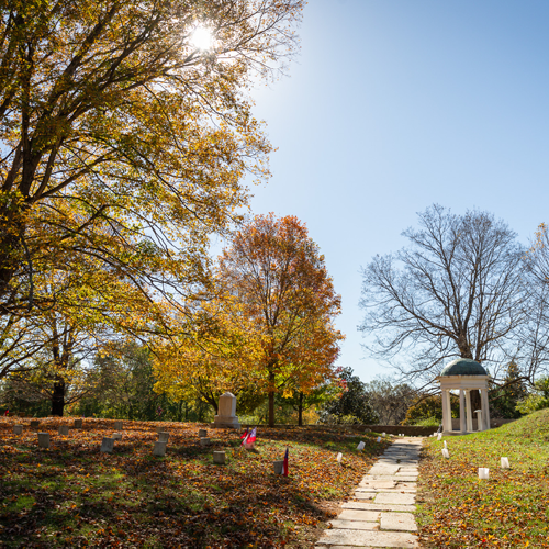 Fall Activities in Lynchburg