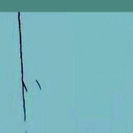 Hostage From The Archives Newsadvance Com