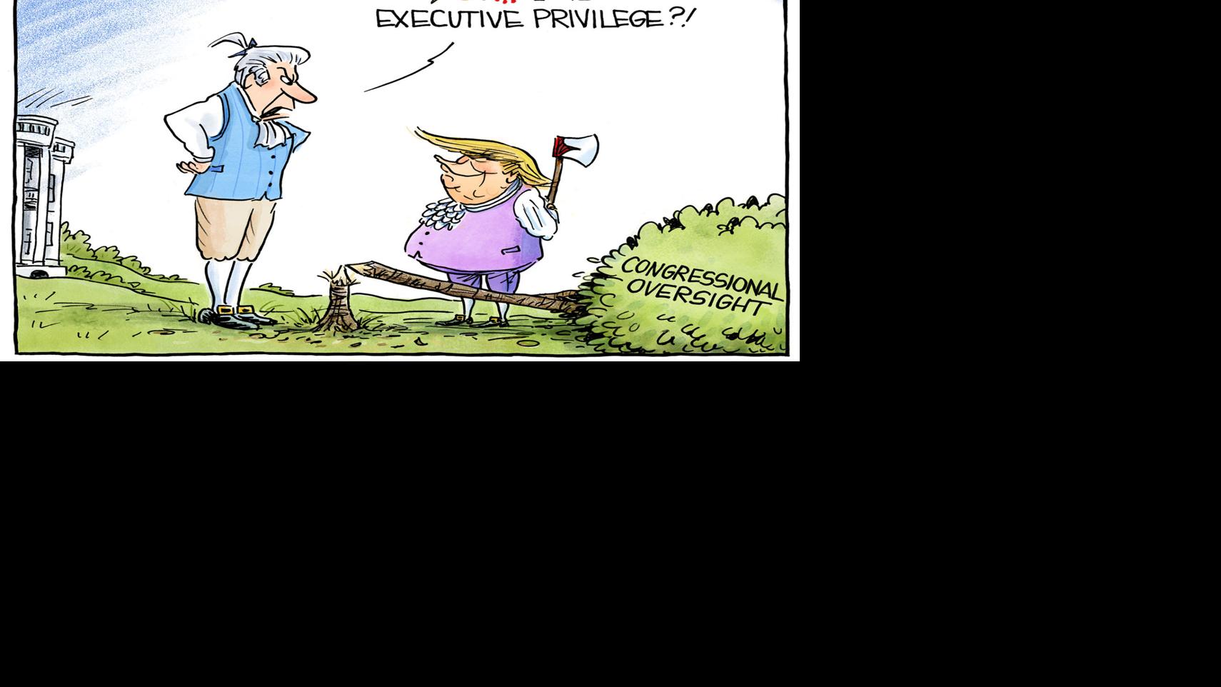 Congressional Oversight Cartoons