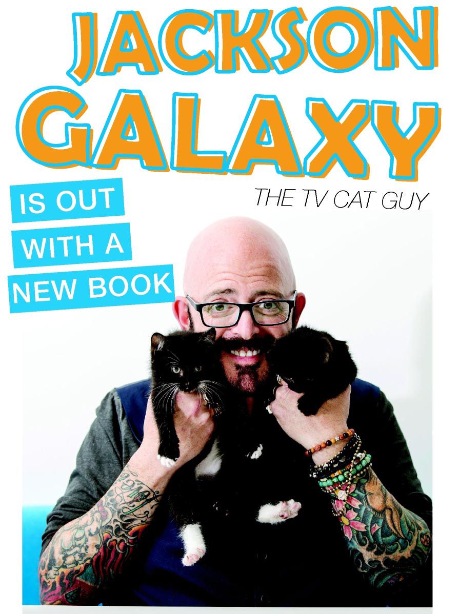 cat tv jackson galaxy