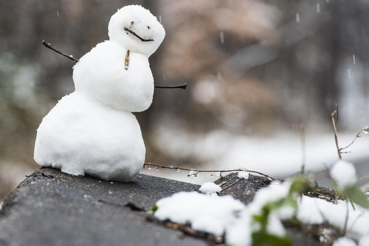 Early December Snow Brings More Fun Than Headaches To Lynchburg