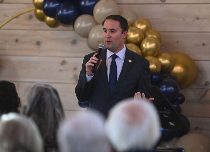 070325-lna-rtd-sentences-p1