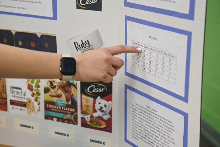 science fair 5