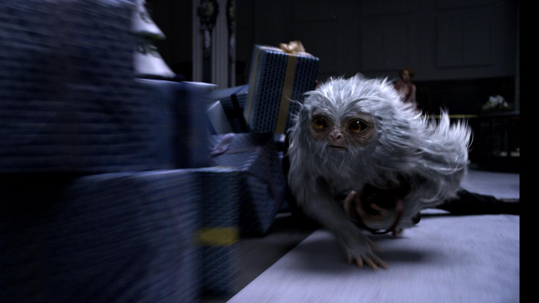 Photos A Guide To Some Of The Creatures In Fantastic Beasts Movies Newsadvance Com We won't share this comment without your permission. fantastic beasts