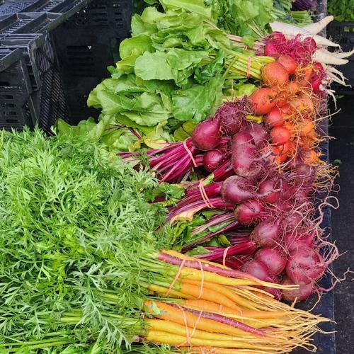 Charlottesville City Market 6.jpg