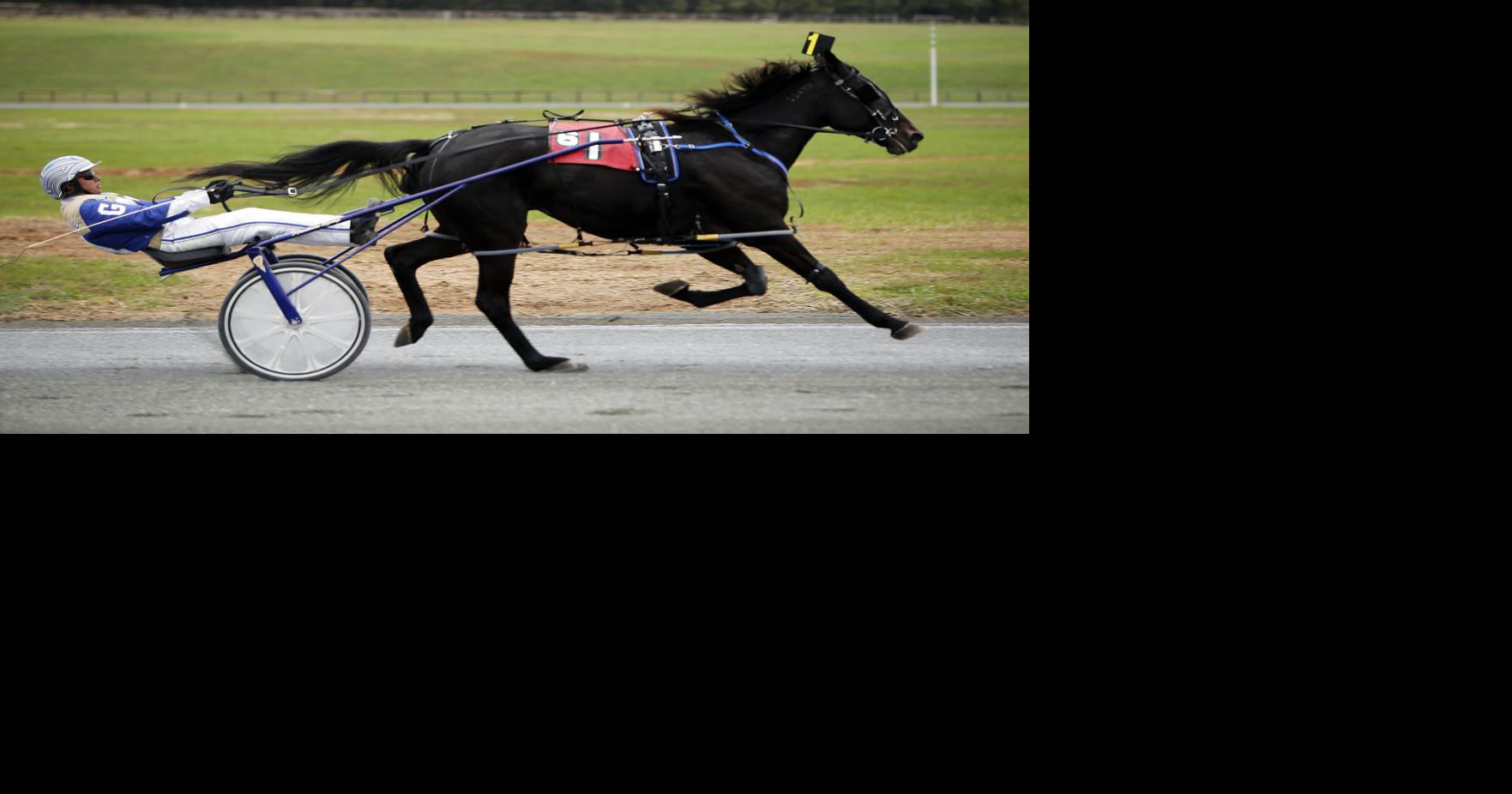 Harness races trot back into Nelson County