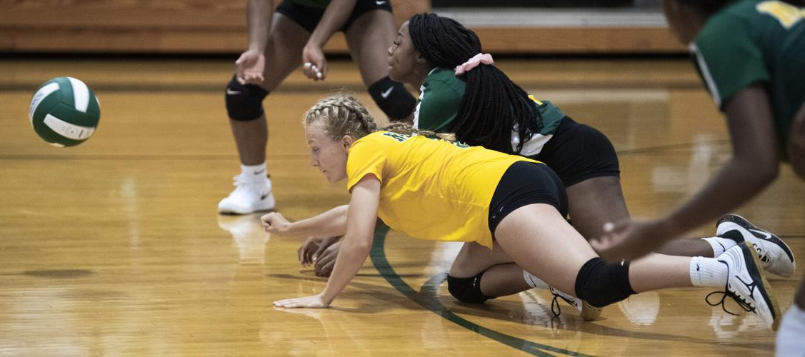 NELSON Varsity VB. 2.JPG