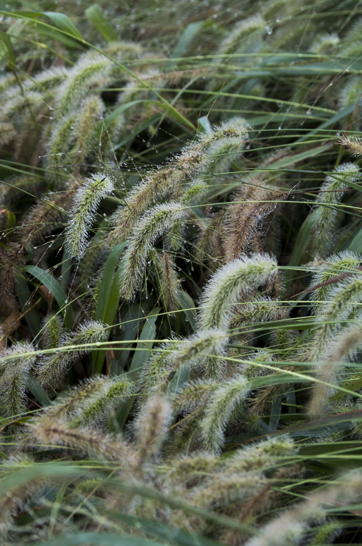 Amherst County supervisors weigh fate of landfill Local News