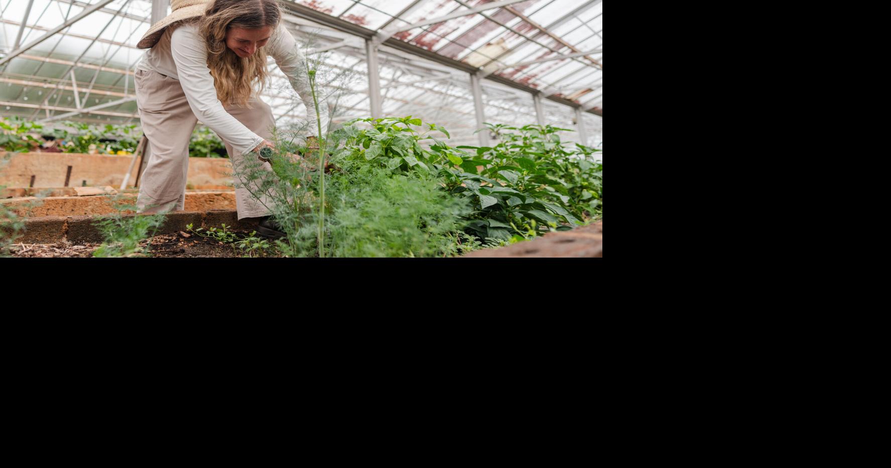 Lynchburg Grows expands summer programming as demand rises