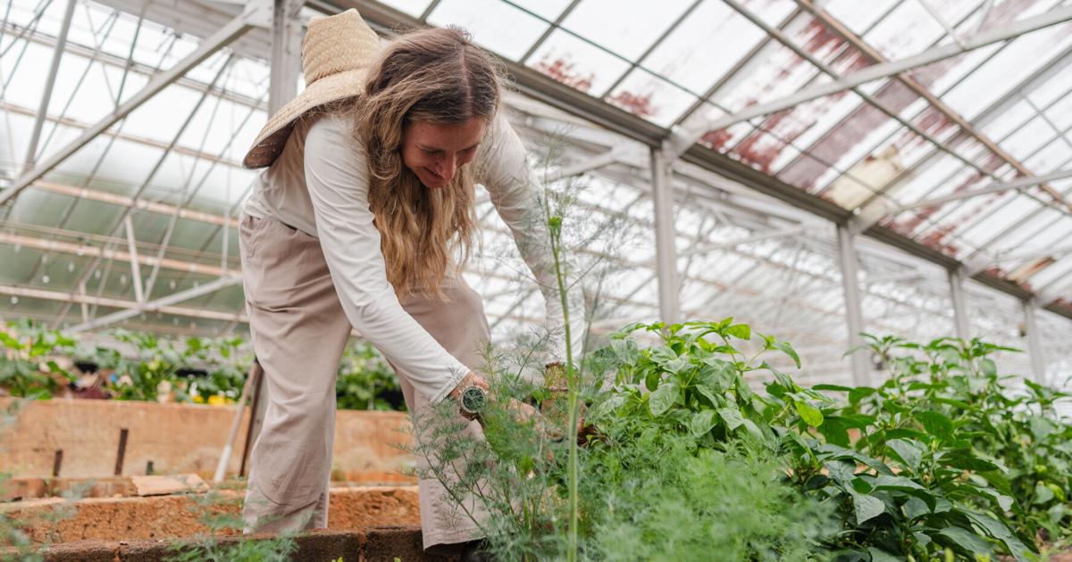 Lynchburg Grows expands summer programming as demand rises