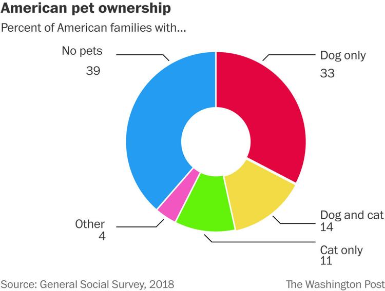 Dog owners are much happier than cat owners, survey finds